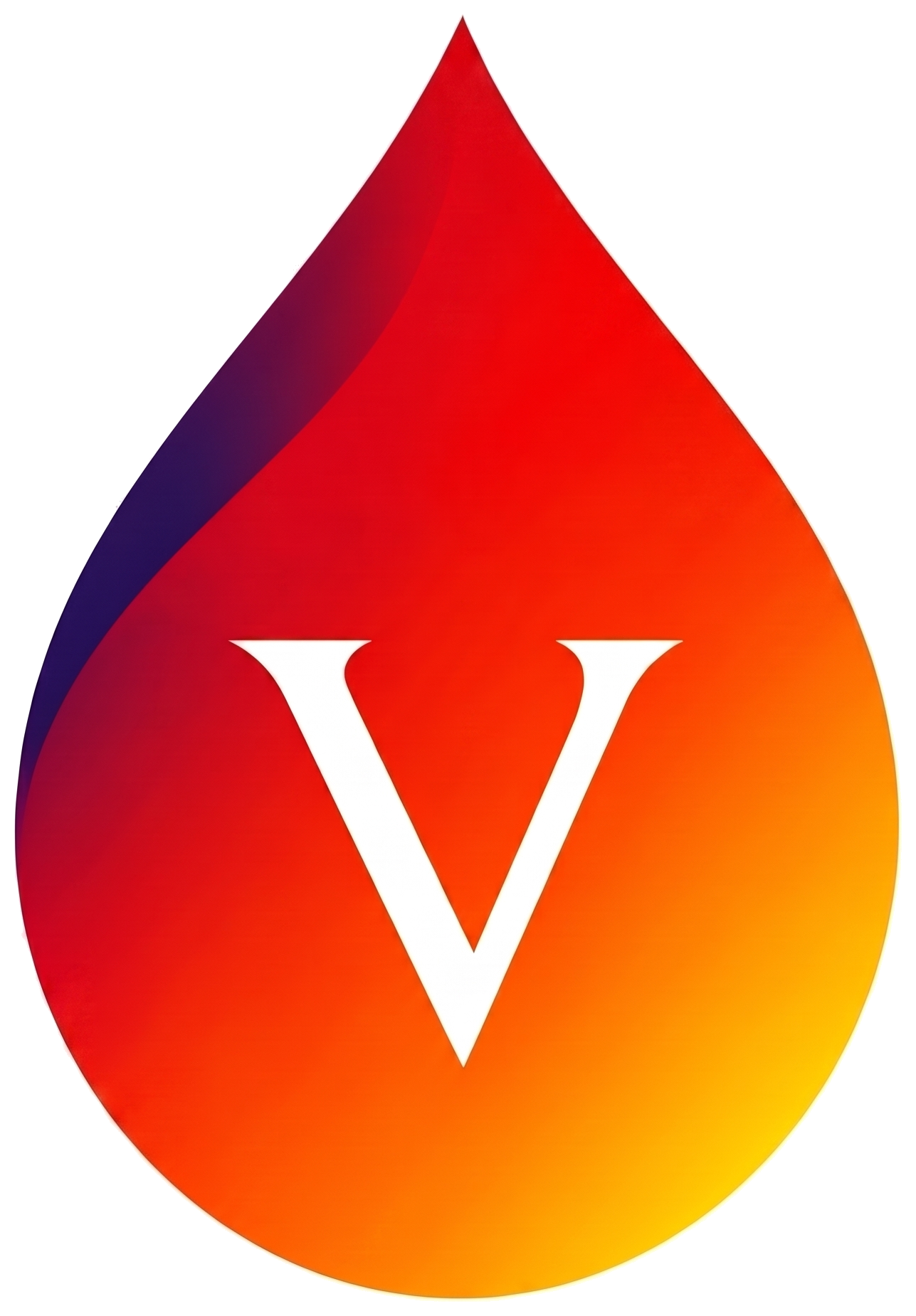 ViDGB logo